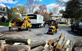 Best Firewood Processing and Delivery  in Halstead, KS